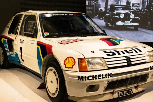 Casino Wild Fortune App Android/iOS